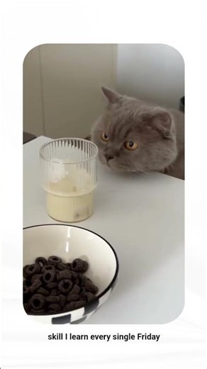 9 to 5 career hack: How I track my work performance #timemanagement #worktips #workinglonger