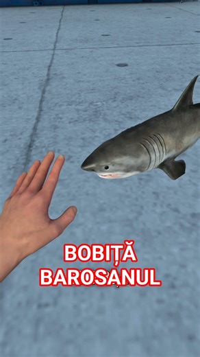 BOBITA A LUAT-O RAZNA… CE MAI MĂNÂNCĂ?!