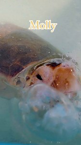 321K views · 6.9K reactions | Happiness is blowing bubbles 冀! Molly...