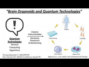 Brain Organoids and Quantum Technologies