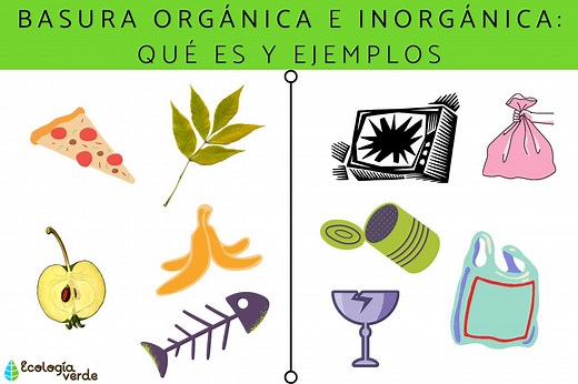 Basura orgánica e inorgánica: qué es y ejemplos - Resumen