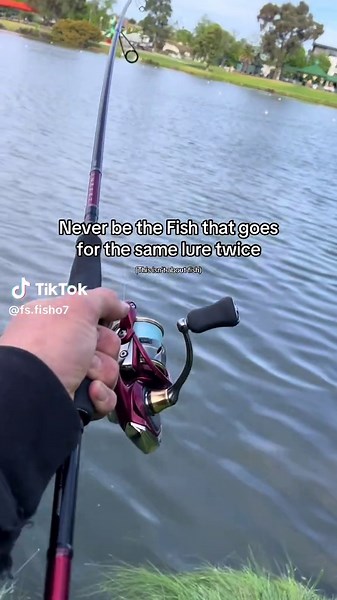 Freshwater Fishing Tips for Catching Murray Cod