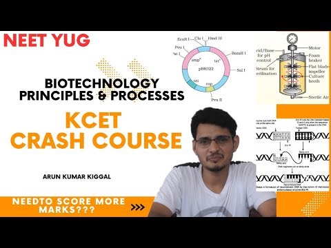 Biotechnology Principles and processes KCET and NEET 2025 Crash Course / KCET Biology questions