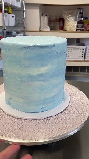 Mia Stav Cakes on TikTok