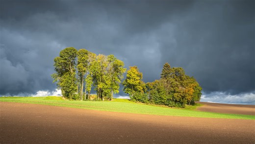 Color Contrast in Lightroom for Stunning Fall Photos