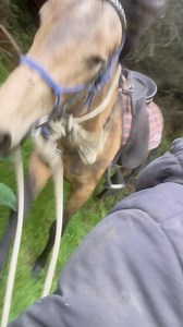 Casey Watson on Reels