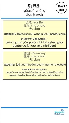 Literal translations: dog breeds, part 3 #chinesevocabulary #chineselanguage#freemandarinchinese