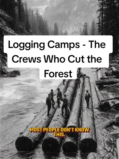 Most people don’t know this. In the early 1900s, logging camps operated deep in the forests of the Pacific Northwest. Crews of lumberjacks lived in bunkhouses near the timber they were cutting. Using axes and long crosscut saws, they felled massive trees that had stood for centuries. Steam powered machines called donkey engines hauled the logs across rough ground. From there, the timber moved by railcars or floated down rivers toward sawmills. The work happened in constant rain. Mud. Cold mounta