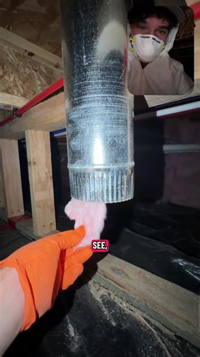 Understanding Crawlspace Issues: Mold Inspection Tips