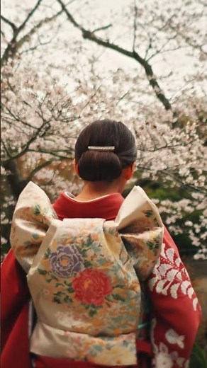 Spring in Japan 4K 🌸 Spring Adventure: Cherry Blossoms, Himeji Castle, Petal Rivers - VIDEO 4K UHD