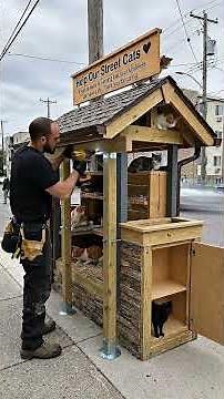 ✅ Building an Amazing Street Cat Shelter From Scratch
