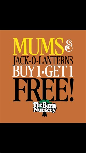 🎃✨ My friend Cole is kicking off a spooktacular week-long Mums & Jack-O-Lanterns Sale — Buy One, Get One FREE! 👏🍁 It’s the perfect time to get those porches ready for Halloween! 🕸️🌼 Stop by The Barn Nursery this week and grab your fall favorites before they’re gone! #TheBarnNursery #FallDecor #MumsAndPumpkins #HalloweenReady #PorchGoals #BOGO #ShopLocal | Johnny Krause