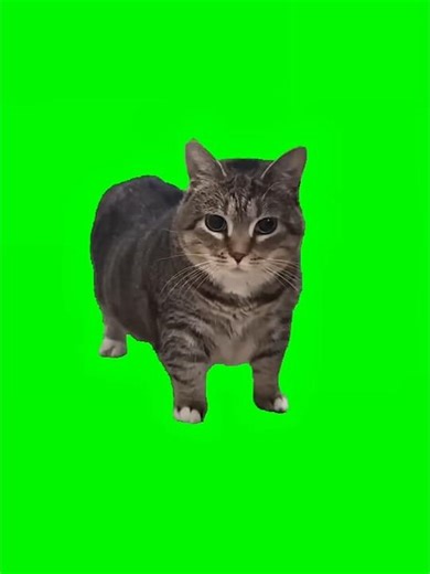 diferentes uiia in games #roblox #memes #cat #uiia #deersimulator #uiiaiouiaio