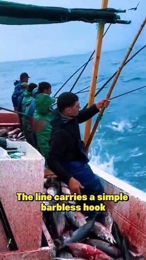 “Memancing dengan Pancing Tradisional – Bagaimana Nelayan Menangkap Ratusan Tuna dengan Cepat!”#s...
