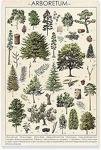 KWAY Vintage Tree Poster Plant Wall Art Prints - Botanical Poster - Rustic Style of Arboretum Wall Hanging Illustrative Reference Chart Poster for Living Room Office Classroom Unframed 20x30in50x75cm