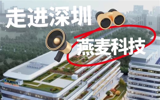 苹果链里的"隐形冠军"燕麦科技。总市值：71亿。行业：自动设备。员工人数：948。办公地址：深圳光明凤凰街道