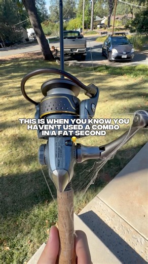 Cob-Web Combo!😭#fishing #youtube #youtubeshorts #viral #viralvideo #shorts #foryou