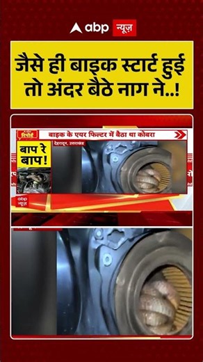 Viral News : जैसे ही बाइक स्टार्ट हुई तो अंदर बैठे नाग ने..! | #ytshorts #snake #cobra #viralvideo