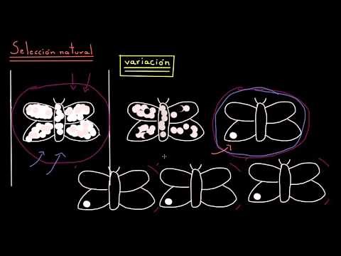 Introduction to Evolution and Natural Selection | Biology | Khan Academy