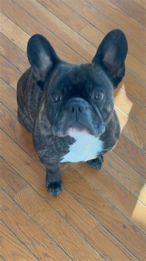 Happy birthday Stanlee Bubba #5 | Jeff Caudle