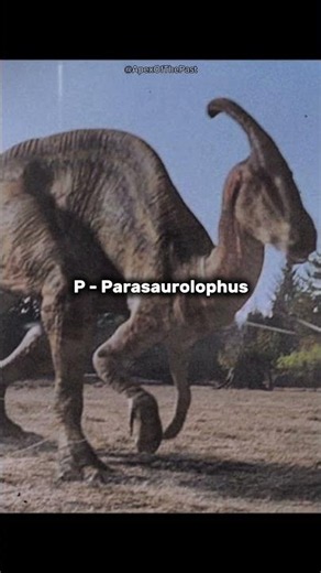 What dinosaurs are you? #firstletterchallenge #dinosaurs #prehistoric