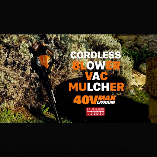 1.1K views | The WORX 40V (2x20v) Brushless Leaf Blower-Vac-Mulcher...