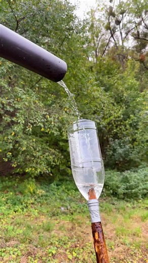 Easy bird repeller | Man Stuff