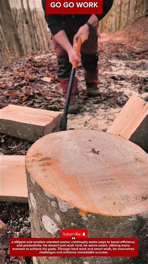 Efficient Log Splitting Using a Sledgehammer and Wedge#woodworking