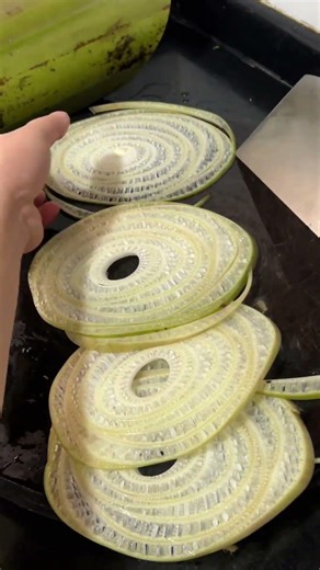 Revolutionary DIY Project: Transform Your Home in 5 Easy Steps