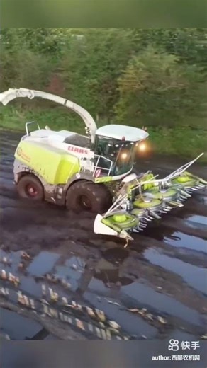 #KLAGS Jaguar forage harvester in operation! #KLAGS960 #KLAGS.