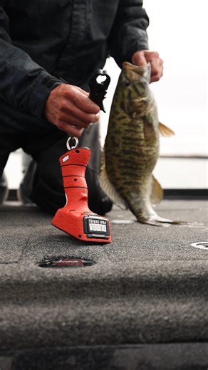3.1K views · 11 reactions | Trusted by the pros. Built for every angler. Let our Smart Fish Scales help you be more efficient on the water. #BUBBA | BUBBA | Facebook