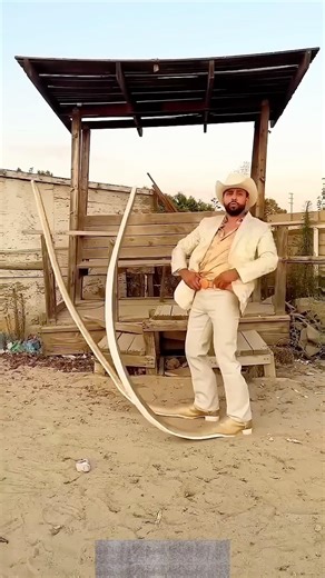 The Longest Shoes in the World! 😱🔥 #Amazing #viralvideo