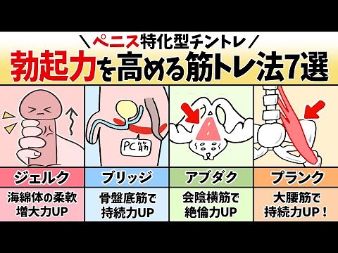 【７選】筋トレで勃起力を鍛える特化トレーニング