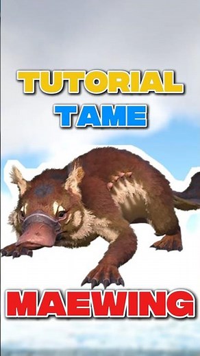 Tutorial Tame Maewing Dalam 1 Menit! Mudah Banget! 🦘