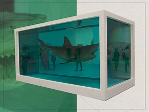How did Damien Hirst get his hands on a shark?