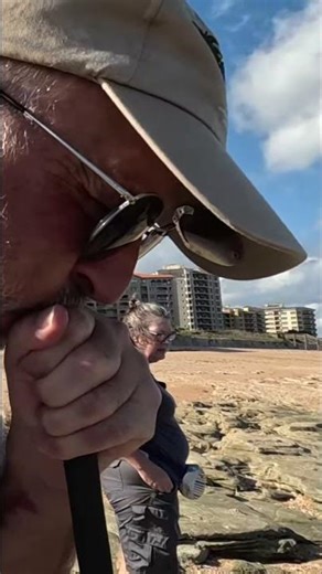 Searching the Shore: Beach Shelling #shorts