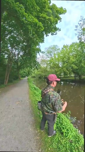 Catching a Bluegill with Strike King Bitsy Minnow fishing lure #fishing #pageviralシ゚ #pageforyou #virals #survival #bassfishing #fish #catchfish #post | Zandy Stein
