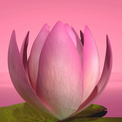 MONALEO 🪷 on Instagram: "my first ever tape is FINALLY out 🥺💐. I worked so hard putting this together i really hope y’all enjoy it. 🔗 in bio !! go grab that NOW! 💐💐💐💐💐💐💐💐💐"