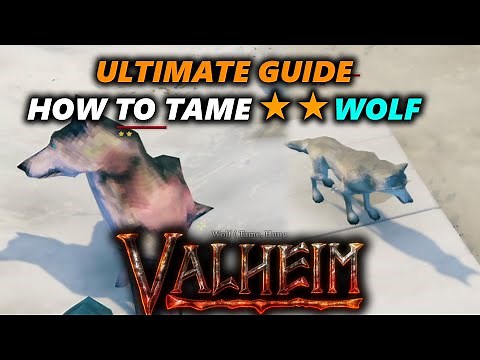How to find and Tame 2 Star Wolf | Solo | Single Player - Ultimate Guide - Valheim