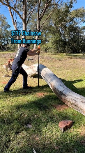What a $179 chainsaw from Bunnings gets you… | Turf And Tools