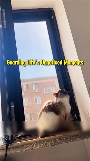 We Are The Leading Manufacturer, Producing High Quality Goods For You #oem #odm #windowscreen #goodthing #antigrip #antiabrasion