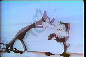 Tweety and Friends - Kids Klassics