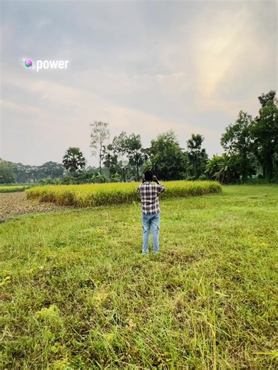 Discover the Power of Sweet Treats and Snacks