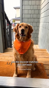 1.2M views · 324 reactions | Whether it’s bandanas or cash back, matching is always in style.  | Discover | Facebook