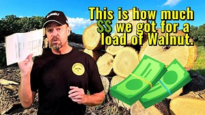 How Much Money We Got for Our First Load of Black Walnut Logs!