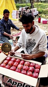 341K views · 4.6K reactions | The robotic apple packer, Mr. Shakir Ahmad. He is one of the efficient and reliable apple packer in kashmir who is presently packing in our landscape. ! #Sàĥìɓ_ìmŕàn | The Kashmir horticulture | Facebook