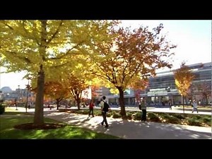 Brigham Young University - Alchetron, the free social encyclopedia