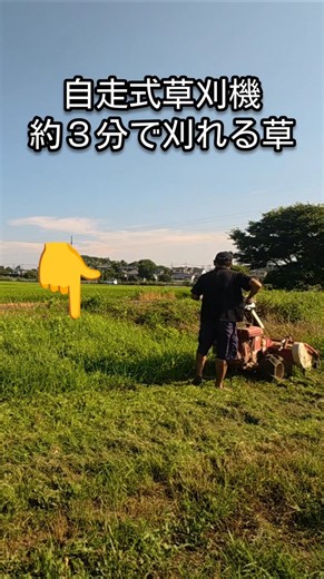 【自走式草刈機】やっぱり刈払機より速いしラクね。