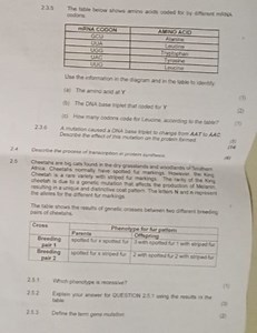 Questions on Protein Synthesis and Genetics2.3.5 Codon Table ... | Filo