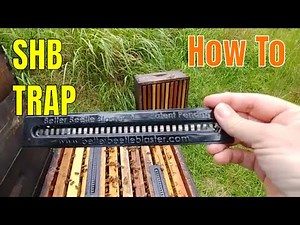 ☯️ How to use Small Hive Beetle Traps in the Hive - Beekeeping 101 #smallhivebeetle